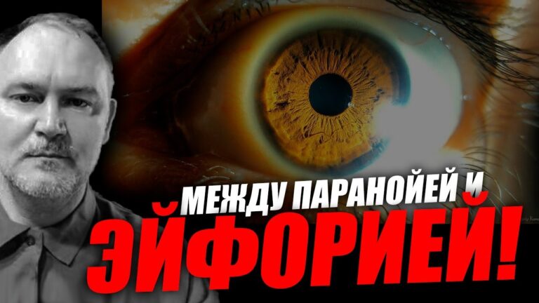 Люди находятся в страшной эйфории, но реальный мир очень жёсткий! Разбор 2-ой лекции. Даниил Сачков