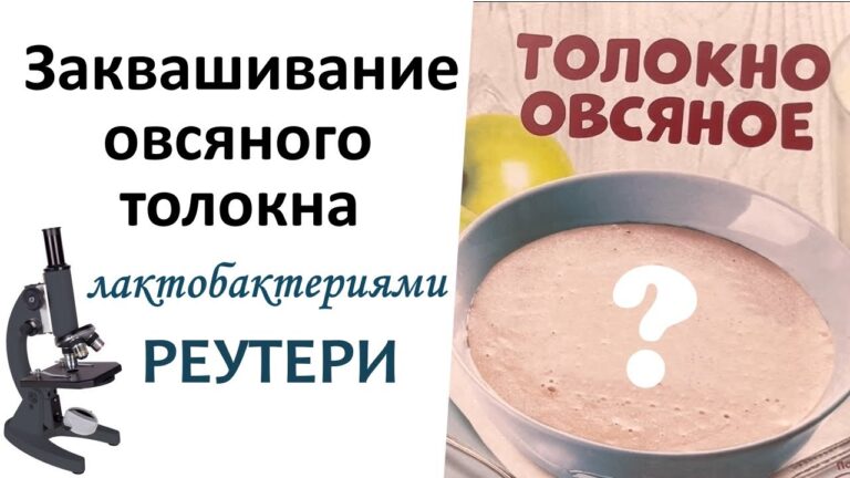 Овсяное толокно  – годится ли для ферментации лактобактериями?