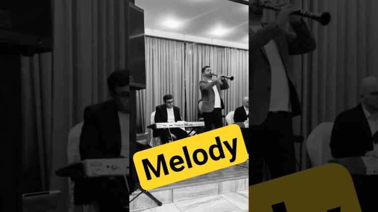 Vadim Baghdasaryan – Melody