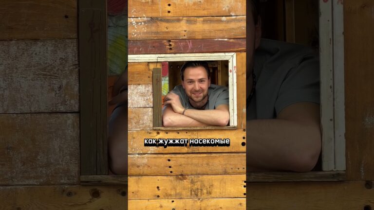 Армянские артисты жужжат как муха. #армения #ереван #театр