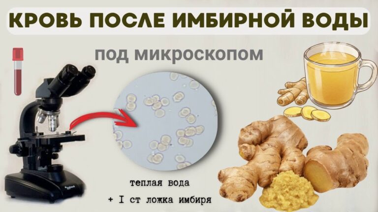 Как имбирная вода влияет на качество крови.