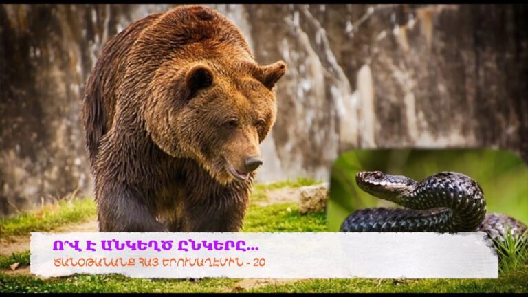 Ո՞Վ Է ԱՆԿԵՂԾ ԸՆԿԵՐԸ…