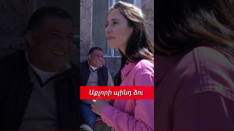 #վիվտաշիարկածները #հումոր #հայեր #armenia #վիվտաշ