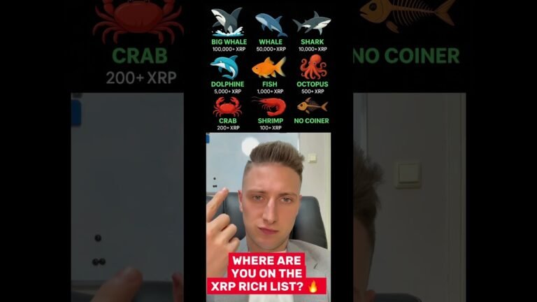XRP Rich List… are you a Whale? 🐳 👀 #xrpnews #crypto #XRP #xrppriceprediction