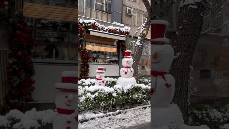 First Snow in Yerevan Ahead of the New Year 2026 #Yerevan #YouTubeShorts #NewYear