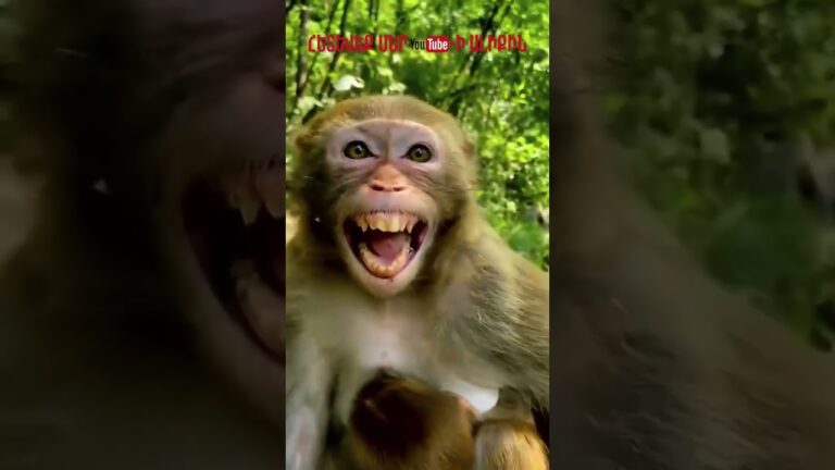 Շուտով 😜 Շուտով 😜