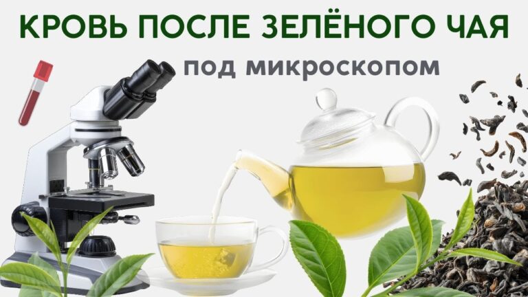 Как зеленый чай влияет на кровь. Как зеленый чай влияет на кровь.