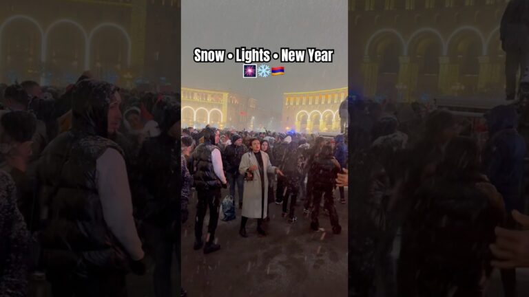 Snowy New Year Night in Armenia | Shorts | 2026 | Armenia 🇦🇲| Yerevan ❄️| #snowynight #snowscene