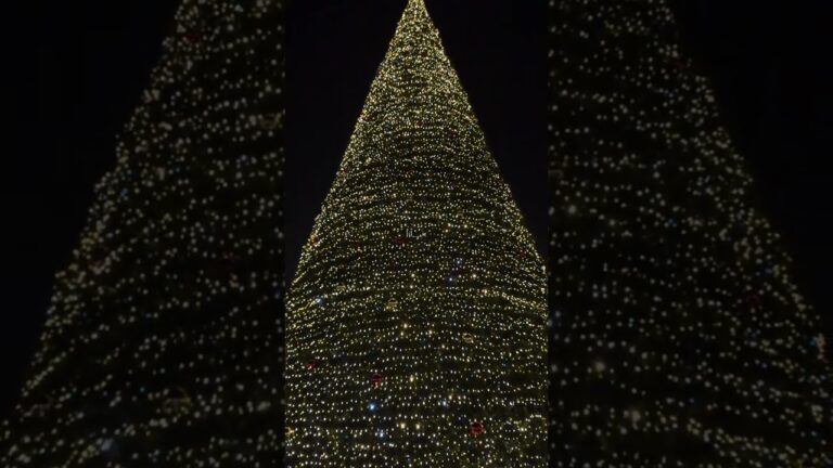 🥳🎄❄️ #snow #armenia #newyear #yerevan #yerevancity #yerevan2026 #hayastanjan #travel #happynewyear