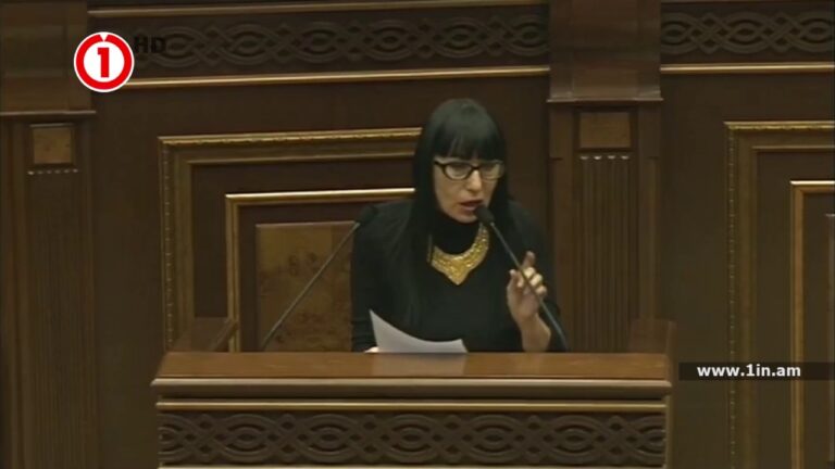 Որոշ ԱԺ փորձագետների պատալոկը լինում է կոֆե եփելու ունակությունը. Նաիրա Զոհրաբյան Որոշ ԱԺ փորձագետների պատալոկը լինում է կոֆե եփելու ունակությունը. Նաիրա Զոհրաբյան