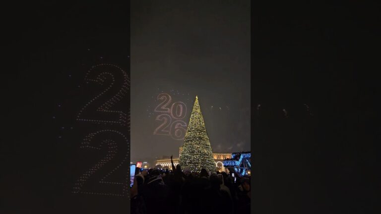 New year 2026 experience in armenia..#armenia #yerevan #travel #newyear #christmas #night #vlog