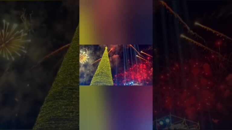 The whole world admires the New Year in Armenia #2026#music