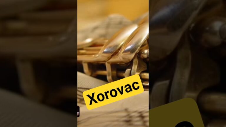 Xorovaci par – Xcho (6/8 klarnet)