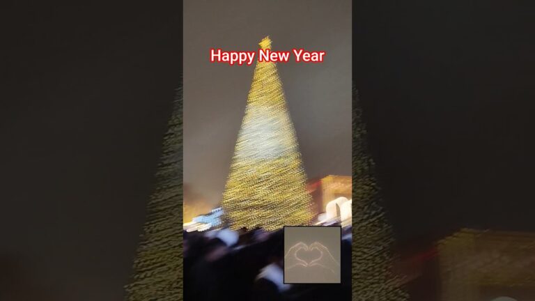 #Yerevan#Happy New Year 🎄 2026#