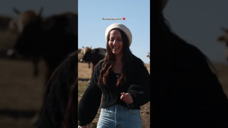 #armenia #vivtash #zangakatun