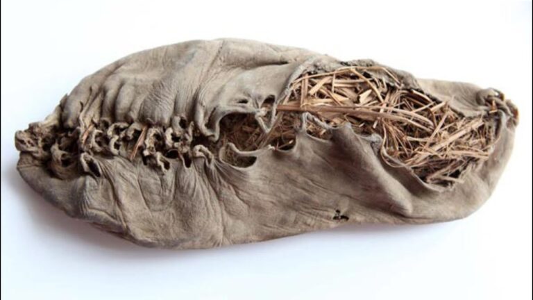 Թաքնված Հայաստան – Ճանապարհ դեպի Արցախ / Hidden Armenia – The Road to Artsakh Թաքնված Հայաստան – Ճանապարհ դեպի Արցախ / Hidden Armenia – The Road to Artsakh