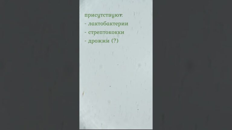 Редкая находка – квашеная капуста с лактобактериями из магазина!  🥬