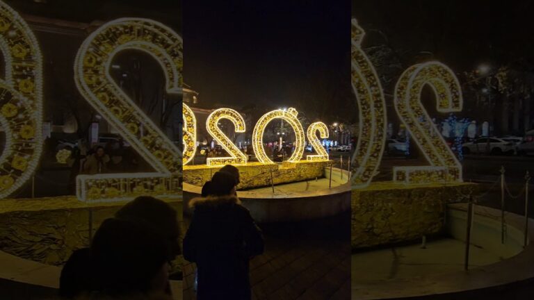 Yerevan welcoming 2026..#asia #europe #nightlife #travel #citylife #christmas #newyear #mallu #vlog