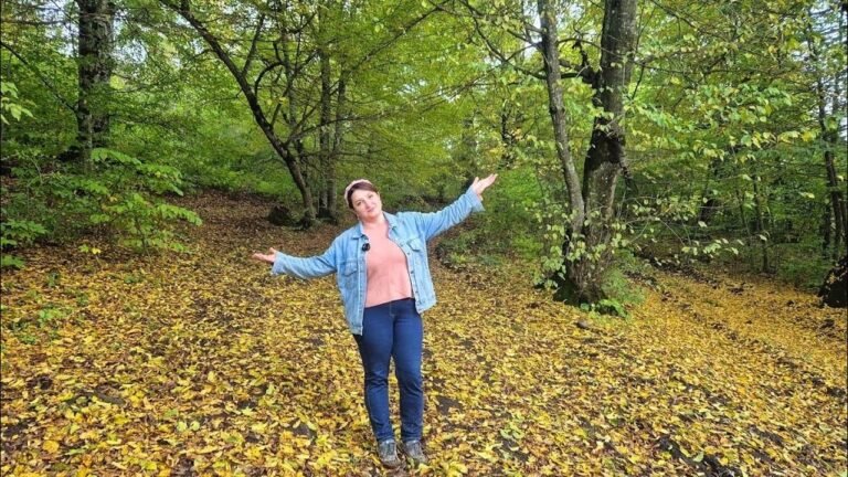 ԴՐԱԽՏ Եմ Ընկել – Շամշադինի Համը – Шамшадин