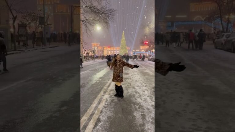 #newyear#newyear2026#yerevan#christmas#dubai#travel#travelvlog#couple#brazil#uae#republicsquare