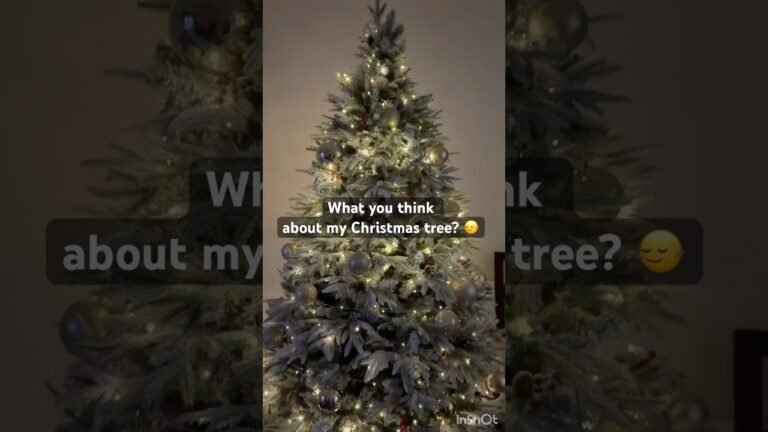 My Armenian Christmas tree 🎄 🤶🎅🧑‍🎄 #newyear #2026 #christmas #armenia #ارمنستان