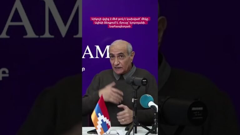 Նիկոլի վզից 2 մեծ թոկ է կախված՝ մեկը Ալիևի ձեռքում է, մյուսը՝ Էրդողանի. Նահապետյան #hayeliakumb