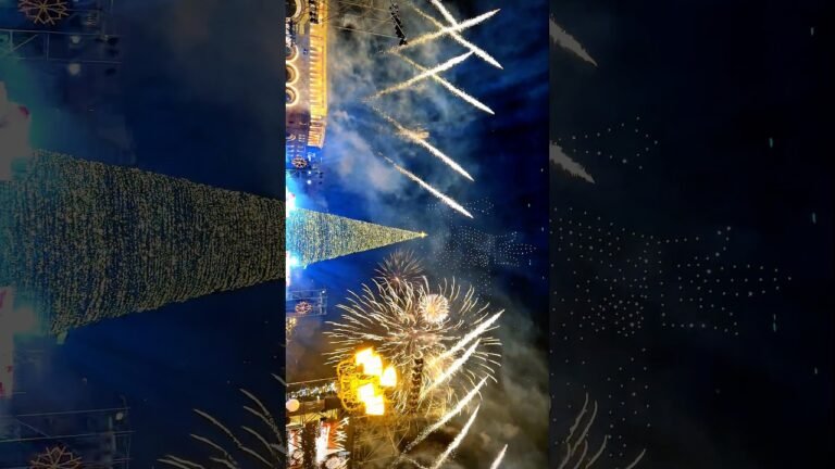 New year in Armenia 🎉🎉 #shorts #new #newyear2026 #india #armenia