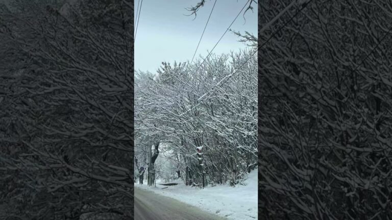 Armenia yerevan #travel #armenia #yerevan #newyear2026 Armenia yerevan #travel #armenia #yerevan #newyear2026