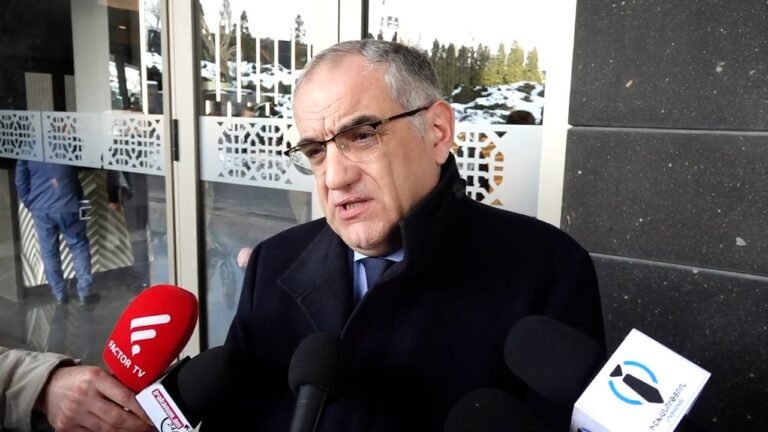 Ես չեմ «վնգստացել». ԲԴԽ անդամ