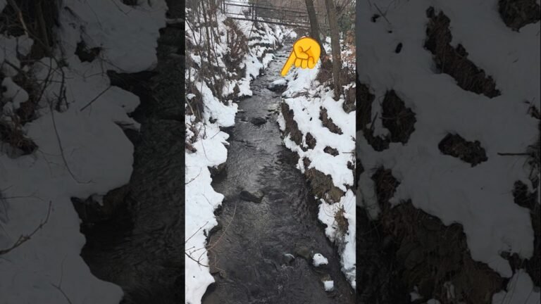 Բնության ձայնը💪💚🏞