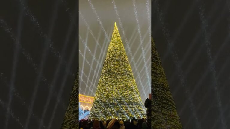 #armenia #newyear #2026 #shorts