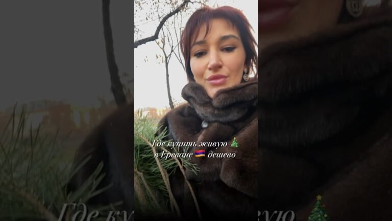 Живая елка в Ереване 🇦🇲 дешево. Самая не популярная локация