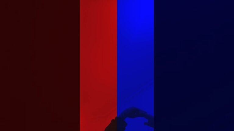 14 декабря 2024 г.