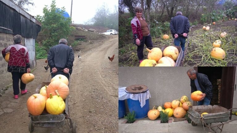 ԴԴՈՒՄՆԵՐԻ ԱՇԽԱՐՀՈՒՄ – Շամշադինի Համը – Шамшадин