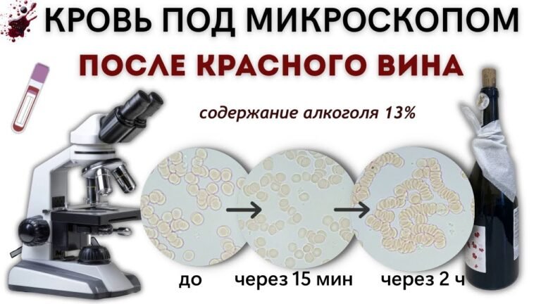 Как сухое красное вино повлияло на состояние крови.