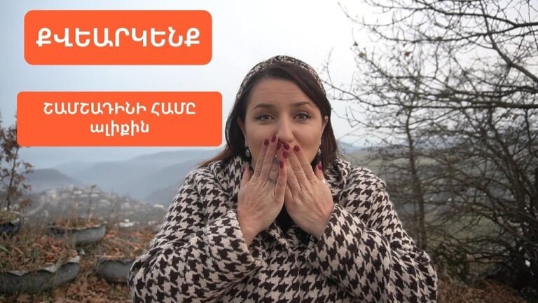 《ԵԿԵՔ ՕԳՆԵՆՔ》ՇԱՄՇԱԴԻՆԻ ՀԱՄԸ ԱԼԻՔԻՆ – Шамшадин