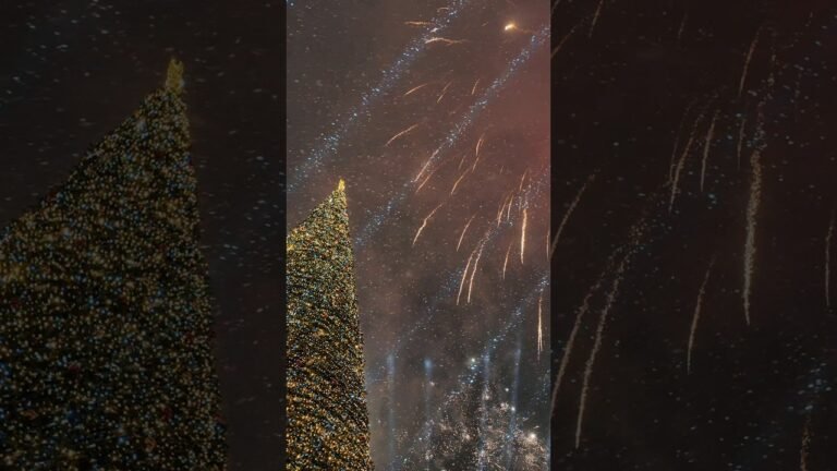 New Year 2026 from Yerevan, Armenia 🇦🇲 #yerevan #armenia #newyear2026