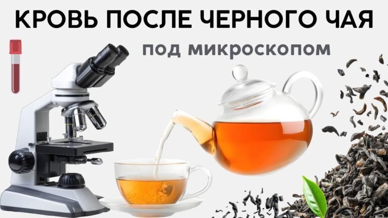 Как черный чай влияет на кровь. Как черный чай влияет на кровь.