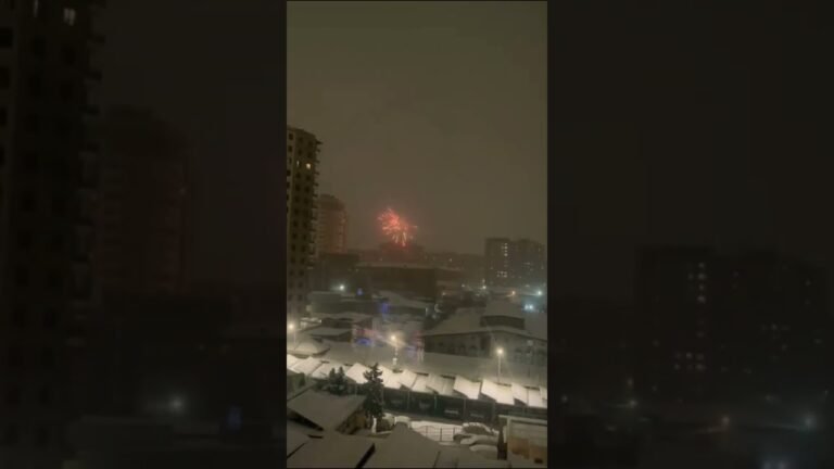 Happy New Year #yerevan #snowy #2026