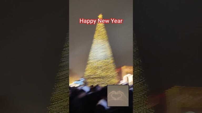 #Yerevan#Happy New Year 🎄 2026#