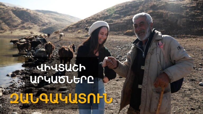 Վիվտաշի արկածները / Զանգակատուն