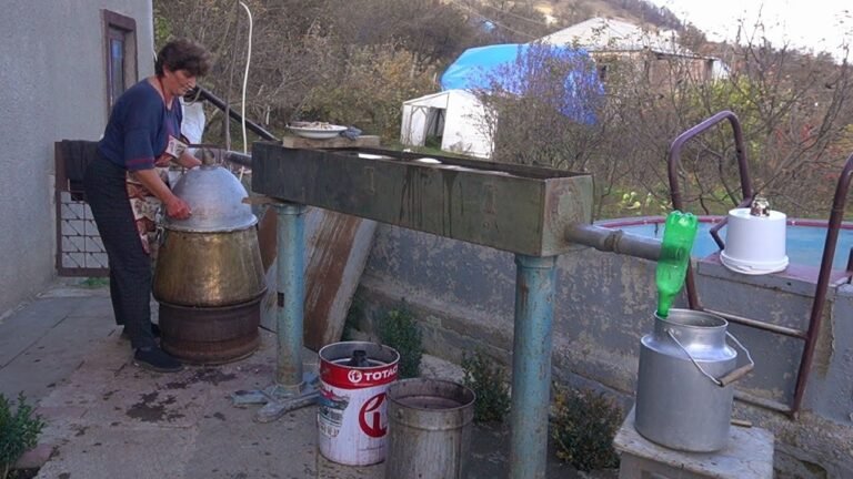 Մայրիկս ԹՈՒՆԴ գործի է` ՕՂԻ Է ԹՈՐՈՒՄ – Շամշադինի Համը – Шамшадин