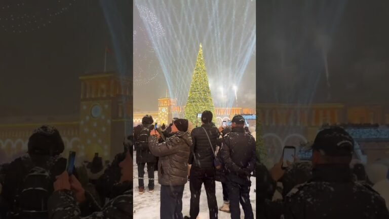 Armenia 🇦🇲 Yerevan New year ❄️🎄#new #newyear #partymusic #fun #like
