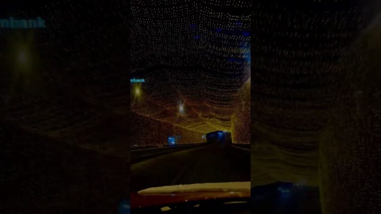 New year | Armenia,Yerevan #հայաստան #երեւան #newyear #լուրեր