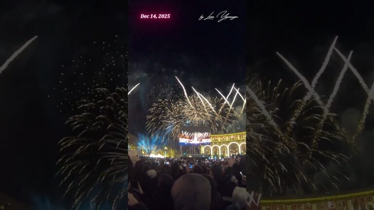 Massive Christmas Tree Lights Up Yerevan 🎄 ARMENIA 🎄 009