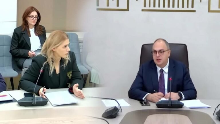 Խայտառակություն է՝  պարո՛ն Վարդանյան, ձեզ վատ չե՞ք զգում. Էլինար Վարդանյան