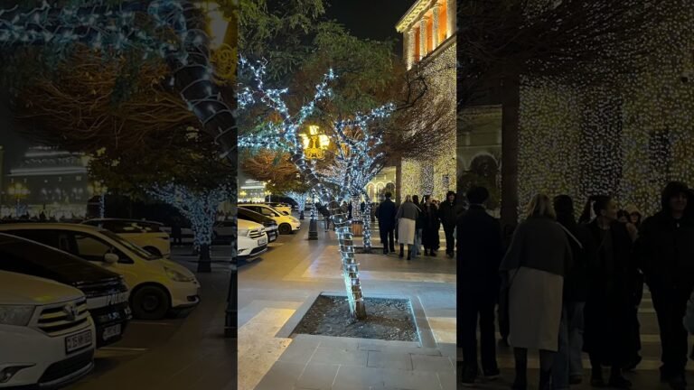 December 2025. Yerevan. #հայաստան #yerevan #newyear