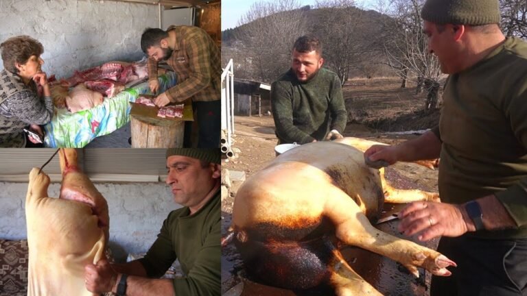 Էս էլ ՄԱՅՐԻԿԻՍ ՆՈՐ ՏԱՐՎԱ ԽՈԶԸ – Շամշադինի Համը – Шамшадин