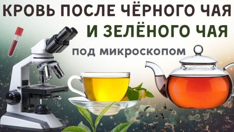 Как употребление чёрного и зелёного чая влияет на состояние крови. Как употребление чёрного и зелёного чая влияет на состояние крови.