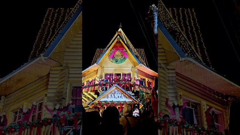 Yerevan Christmas 🎄 #yerevan #2026 #armenia #newyear